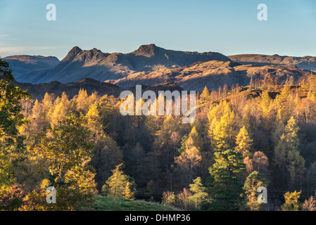 Tarn Hows e The Langdale Pikes nel distretto del Lago di Cumbria. Serata autunnale. Foto Stock