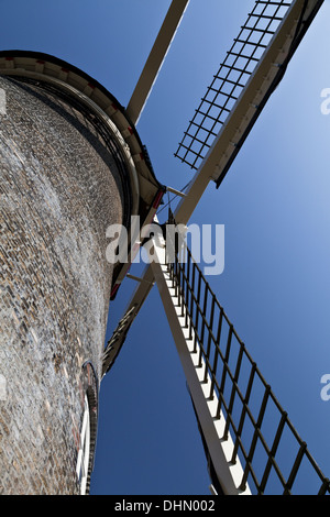 Torre superiore e le vele di Molen de Valk mulino a vento a Leiden Foto Stock