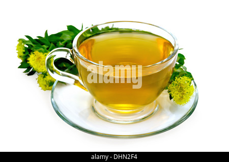 La guarigione tè alle erbe in un bicchiere di vetro con un mazzo di fiori Rhodiola rosea isolato su uno sfondo bianco Foto Stock