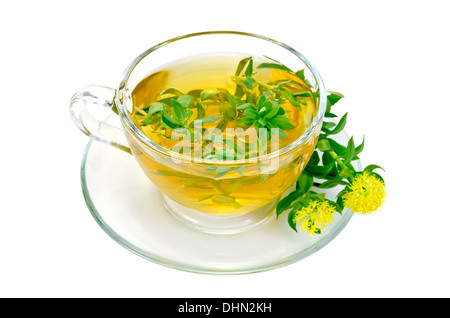 La guarigione di tisana in tazza di vetro con fiori la Rhodiola rosea è isolato su sfondo bianco Foto Stock