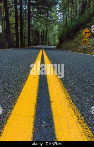 SR 1, aka il litorale autostrada, avvolgimento attraverso il vasto coast redwood foresta vicino la costa dell'Oceano Pacifico, CALIFORNIA, STATI UNITI D'AMERICA Foto Stock