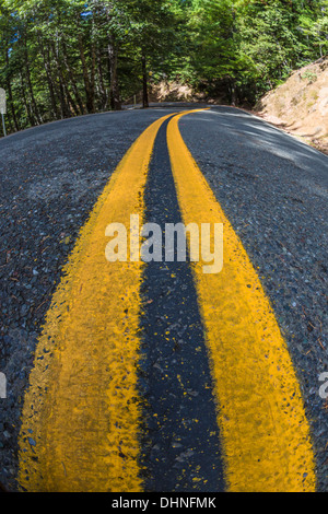 SR 1, aka the Shoreline Highway, winding through the vast Coast Redwood forest near the Pacific Ocean coast, California, USA Foto Stock