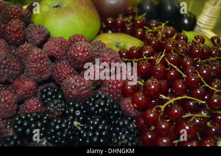 Close up di un Display di frutti misti in un Trug a Harrogate Autunno Flower Show Yorkshire Foto Stock