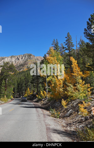 Un auto sulla strada tra colorate fogliame di autunno Foto Stock