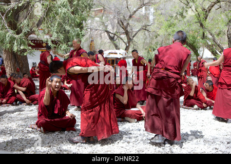 I giovani monaci buddisti tibetani discutendo nel cortile a discutere al Monastero di Sera Lhasa, in Tibet, in Cina Asia Foto Stock