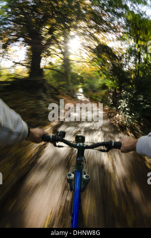 Vista sopra le barre del manubrio lungo viale alberato fangoso percorso nuziale paese lane rive scoscese andando veloce verso il sole Foto Stock