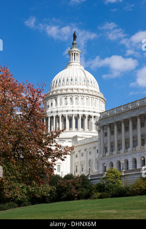 Il Campidoglio US costruire la cupola incorniciato dalla caduta delle foglie in Washington, DC. Foto Stock