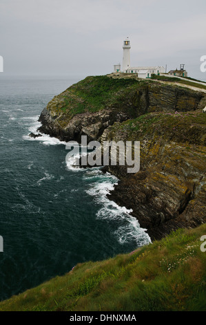 Il faro a sud di pila in una nebbiosa mattina. Anglesey, Galles. Giugno. Foto Stock
