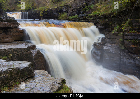 Il fiume Swale Kisdon in vigore nei pressi di Keld Swaledale Yorkshire Dales REGNO UNITO Foto Stock