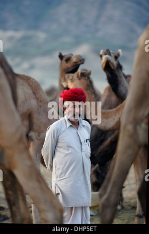 I cammelli e il loro proprietario ritratto a Pushkar camel Fair in Rajasthan, India. Foto Stock