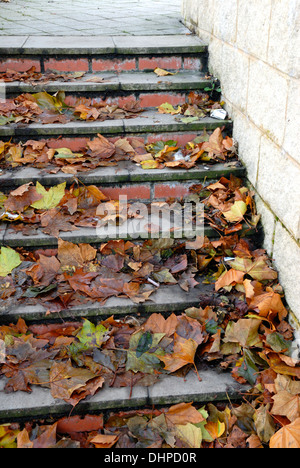 Caduta foglie facendo passi pericolosi, in Maidstone, England. Foto Stock