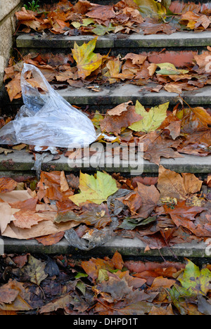 Caduta foglie e scartato il sacchetto in plastica facendo passi pericolosi, in Maidstone, England. Foto Stock