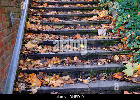 Caduta foglie facendo passi pericolosi, in Maidstone, England. Foto Stock