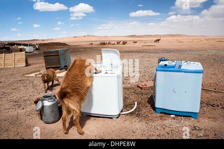 Khanbogd, Mongolia. Il 1 aprile, 2013. Una sete di bevande di capra da una macchina di bucato nel Deserto del Gobi. Insieme alla pastorizia, i membri della famiglia il lavoro qui vicino ad una miniera, fornendo reddito extra per servizi come questa energia solare di lavatrice. © Taylor Weidman/ZUMA filo/ZUMAPRESS.com/Alamy Live News Foto Stock