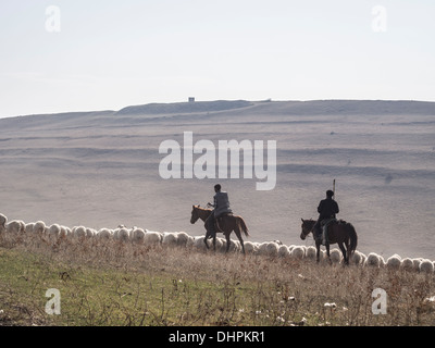 Pastori con i loro greggi vicino al David Gareja in Kakheti, Georgia Foto Stock