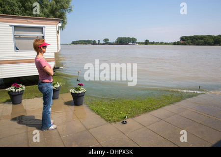 Paesi Bassi, Gendt, l'acqua alta nel fiume Waal minacciando le carovane sul sito camping Waalstrand chiamato Foto Stock