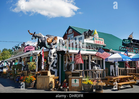 Big moose deli e paese store in Hoosick falls VT Foto Stock