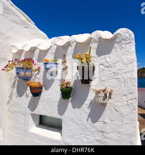 Menorca Es Grau casa bianca fioriere dettaglio nelle Isole Baleari Foto Stock