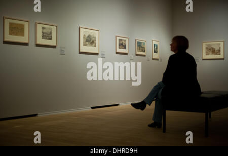 Duesseldorf, Germania. Xiv Nov, 2013. Una donna in visita alla mostra "specchio dell'anima. Paesaggi di romantico tedesco degli artisti al Museo Kunstpalast a Duesseldorf in Germania, 14 novembre 2013. La mostra va dal 16 Novembre 2013 fino al 26 gennaio 2014. Foto: JAN-PHILIPP STROBEL/dpa/Alamy Live News Foto Stock