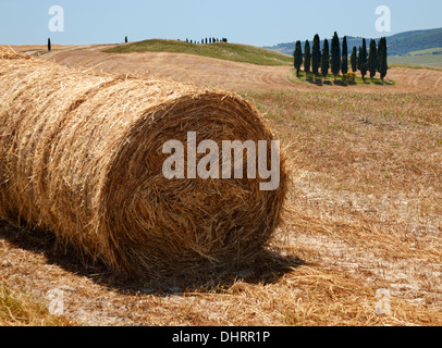 Toscana, San Quirico D'orcia Foto Stock