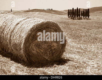 Toscana, San Quirico D'orcia; Italia Foto Stock