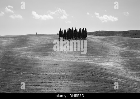 Toscana, San Quirico D'orcia, Italia Foto Stock