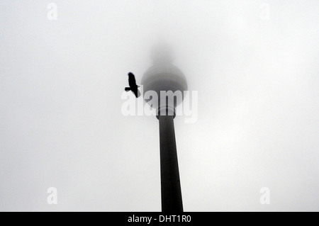 Un uccello che sta volando accanto alla torre della TV di Berlino, Germania Foto Stock