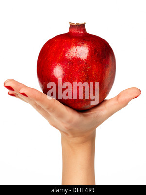 Mano che tiene il Melograno Foto Stock
