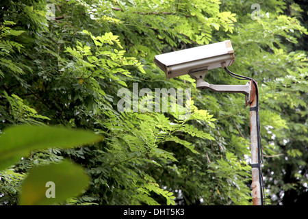 Telecamera TVCC nel parco di un sistema di sicurezza. Foto Stock
