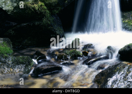 Morbido blu tra la cascata Foto Stock