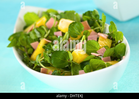 Crescione fresco, ananas e prosciutto insalata in bianco allungato ciotola (messa a fuoco selettiva, concentrarsi sul pezzo di ananas nella parte anteriore) Foto Stock