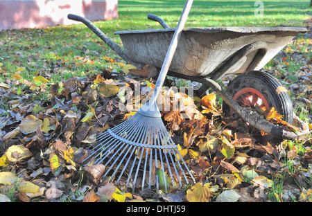 Rastrello per raccogliere foglie vicino a una vecchia carriola Foto stock -  Alamy