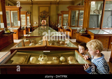 Paesi Bassi, Haarlem, Teylers Museum, bambini guardando il patrimonio preistorico Foto Stock