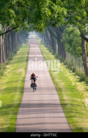 Paesi Bassi, Middenbeemster, tipica strada diritta in Beemster Polder, un sito patrimonio mondiale dell'UNESCO. Ciclista Foto Stock