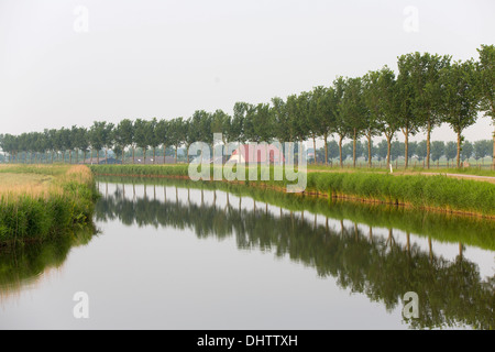 Paesi Bassi, Middenbeemster, tipica fattoria a canale di cintura che circonda Beemster Polder, un sito patrimonio mondiale dell'UNESCO Foto Stock