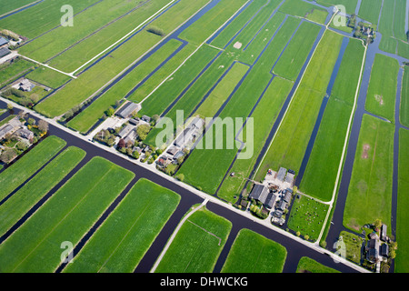 Paesi Bassi, Kamerik, fattorie in polder. Antenna Foto Stock