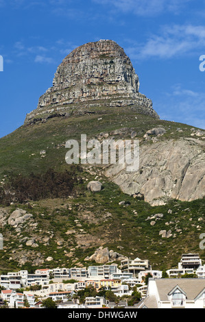 La testa di leone, Sea Point nei pressi di Città del Capo Foto Stock