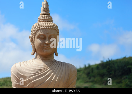 Immagine del Buddha in "Wat Phra That Pha Kaew' a Khao Kho, Phetchabun Thailandia Foto Stock