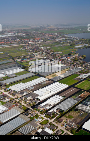 Paesi Bassi, Roelofarendsveen, zona industriale, Antenna di serre Foto Stock