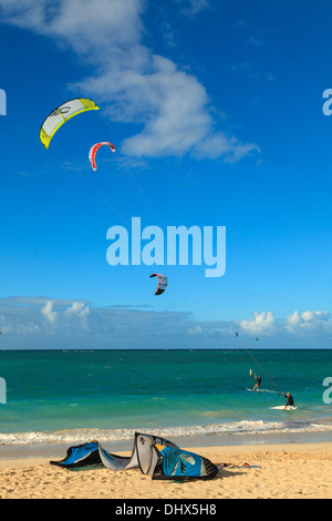 Stati Uniti d'America, Hawaii, Oahu, Shore Sopravento, Kailua Beach Park, Kitersurfers Foto Stock