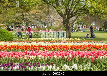 Paesi Bassi Lisse, giardini Keukenhof Foto Stock