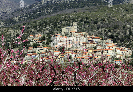 Campi peach sfondo il borgo di Eus, Pyrenees-Orientales, Francia Foto Stock