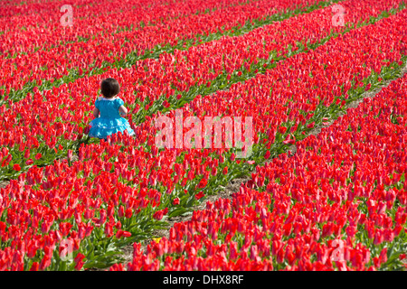 Paesi Bassi Lisse, bambino camminando nel campo di tulipani Foto Stock