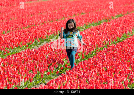 Paesi Bassi Lisse, bambino in esecuzione nel campo di tulipani Foto Stock