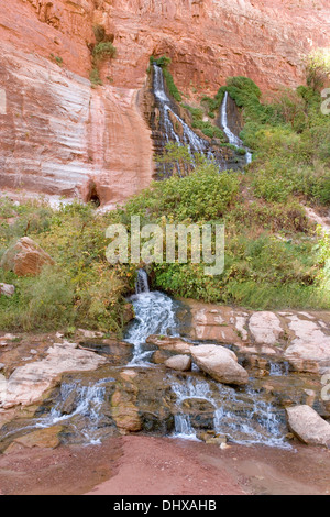 Vasey's Paradise molle e cascate nel Redwall sezione del Grand Canyon, Arizona, Stati Uniti d'America Foto Stock