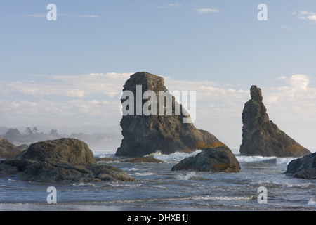 Pile di mare lungo la spiaggia di Bandon in Bandon Beach Stato Area Naturale, Oregon. Foto Stock