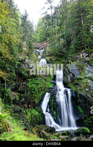 Cascate di Triberg Foresta Nera in Germania Foto Stock