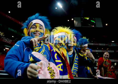 Lisbona, Portogallo. Xv Nov, 2013. In Svezia i sostenitori prima della partita di calcio tra Portogallo e Sewden per la prima gamba del Play Off per 2014 FIFA World Cup Brasile, a Luz Stadium di Lisbona, Portogallo Credito: Azione Sport Plus/Alamy Live News Foto Stock