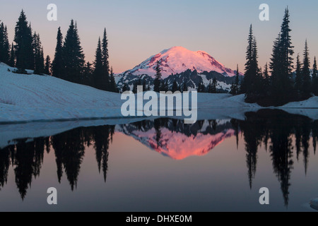 Presto la luce sul Monte Rainier riflessa nella parte superiore del lago Tipsoo all'alba, e il Parco Nazionale del Monte Rainier, la cascata di gamma, Washington. Foto Stock