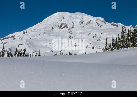 Il monte Rainier in bilico sopra un luccichio del manto nevoso inverno su Mazama Ridge, il Parco Nazionale del Monte Rainier, Washington. Foto Stock